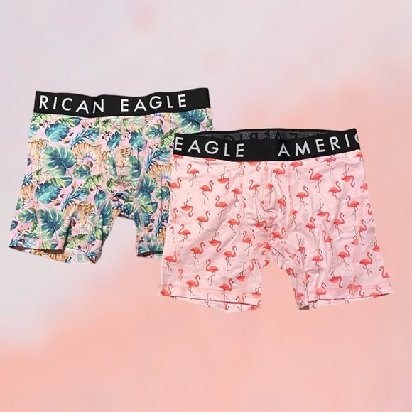 American Eagle Outfitters Underwear & Socks Nwot 2pack American